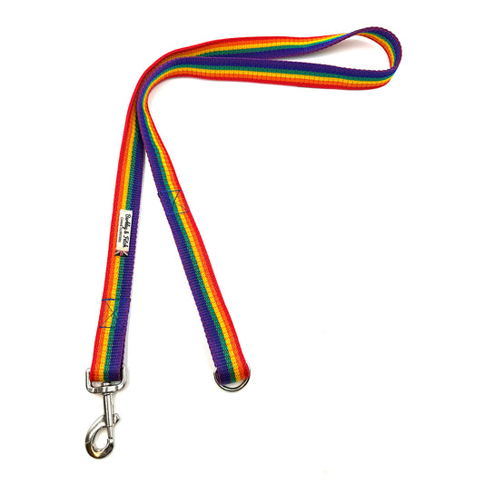 Rainbow striped dog leash with metal clip on a white background