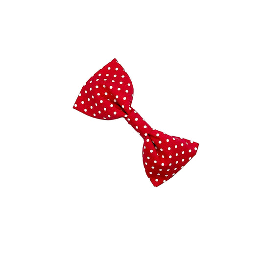 Red polka dot bow tie on a white background