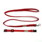 Red polka dot dog collar and leash set on a white background