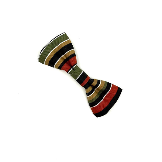 Colorful striped bow tie on a white background