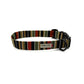Dog collar with striped pattern on a white background