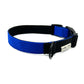 handmade royal and black colour block dog collar on a white background