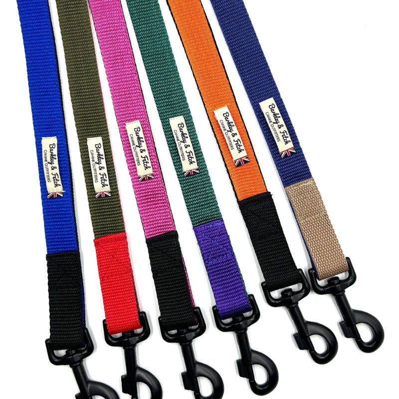 Colour Block Webbing Lead