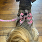 PinkBerry Check Dog Sailor Bow