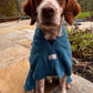 springer spaniel sat in barkley and fetch bathrobe on patio