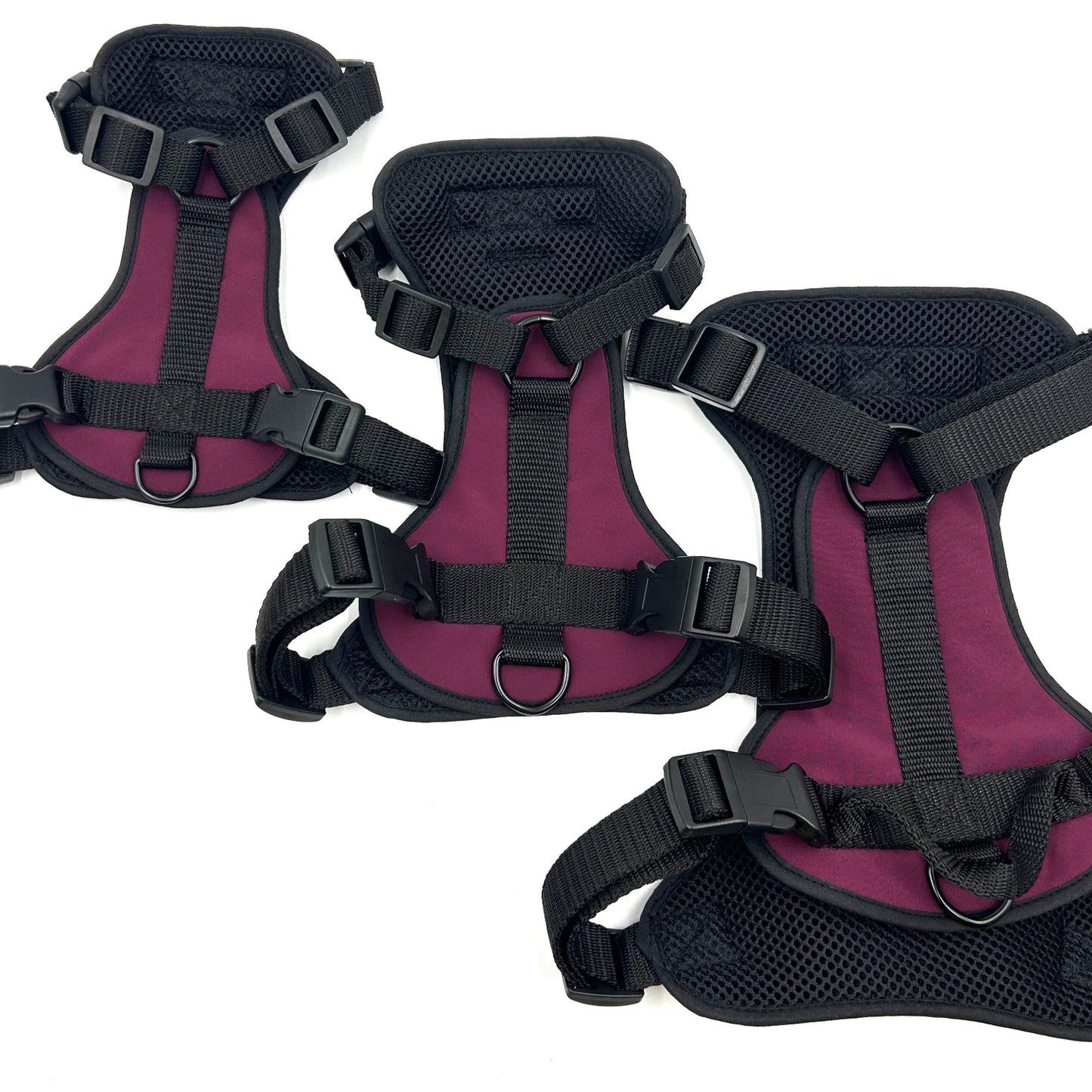 3 Click TREK Harness