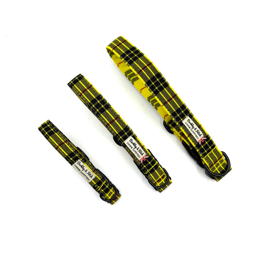 Three yellow and black checkered dog collars with visible branding on a white background