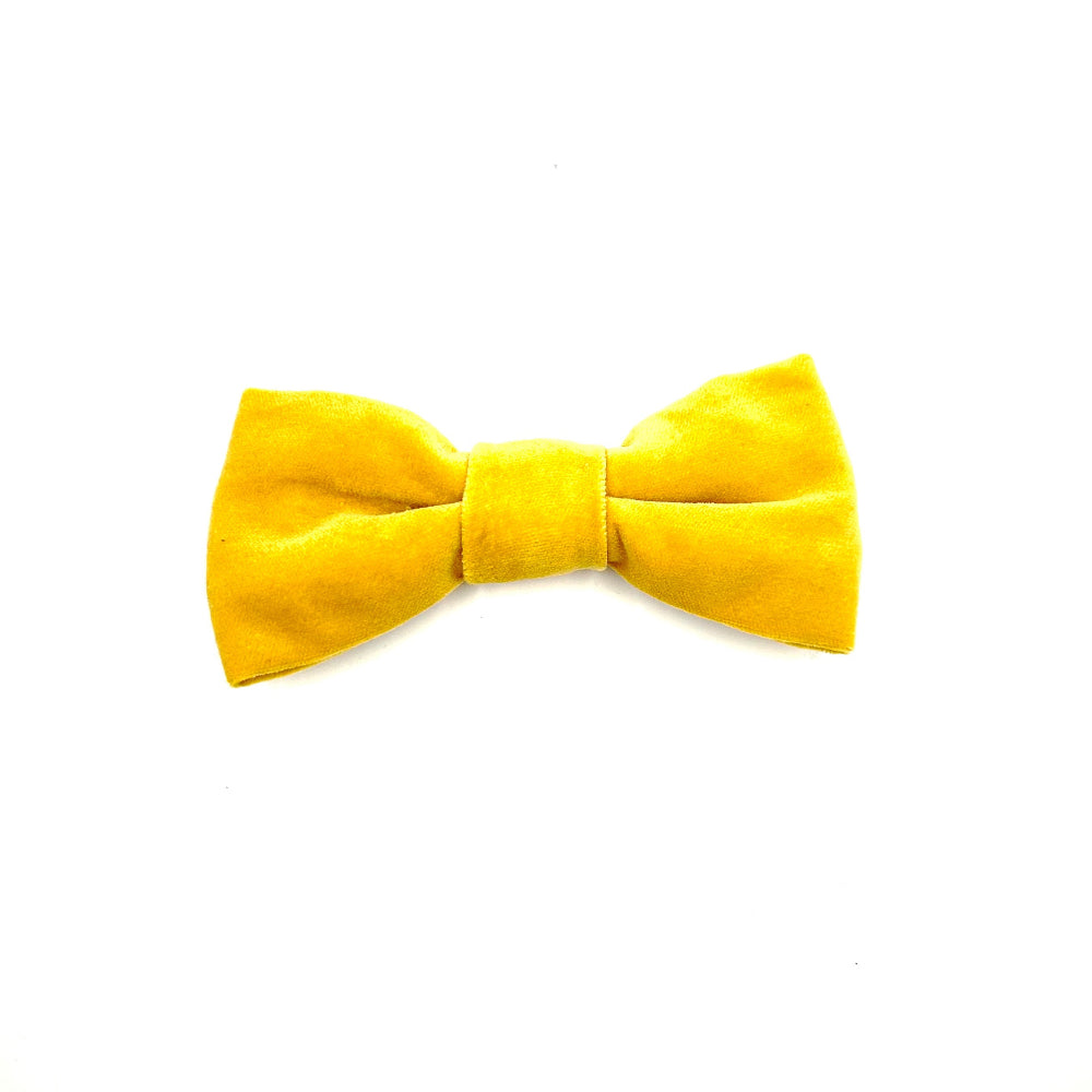 Yellow luxury handmade velvet bow tie on a white background by Barkley and fetch Great Britain