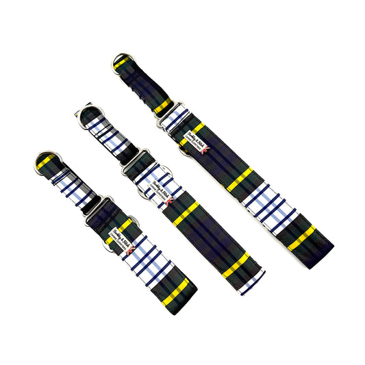 Threeplaid dog collars with metal buckles on a white background
