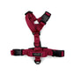 Essential Cushion Webbing Dog Harness