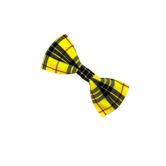 Yellow and black plaid bow tie on a white background