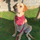 Love Hearts Print Dog Bandana