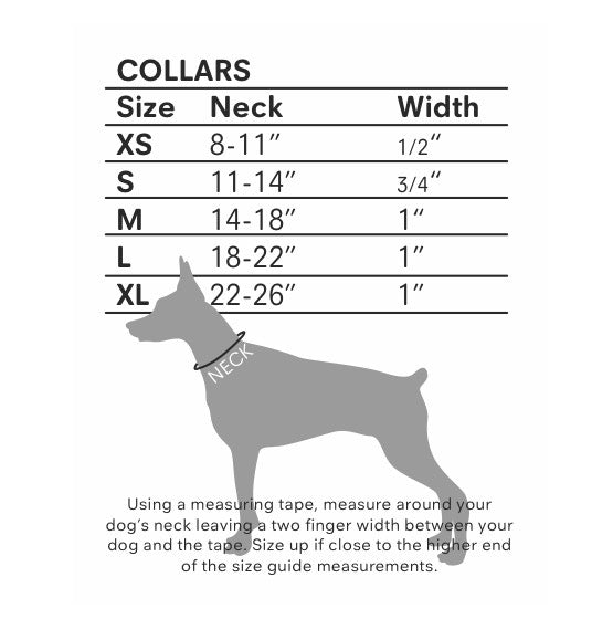 Zodiac Print Dog Collar
