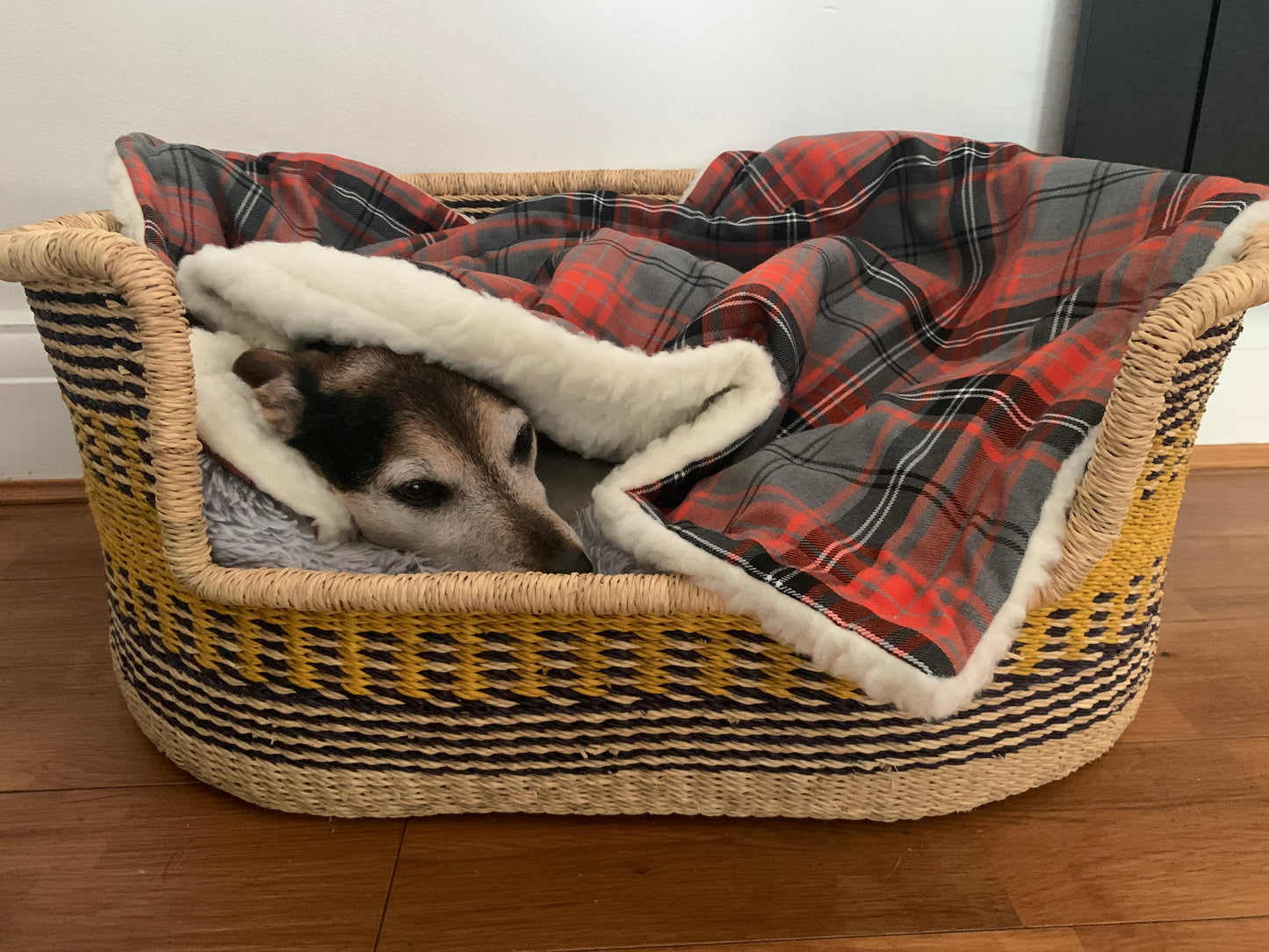 Red Tartan Dog Blanket