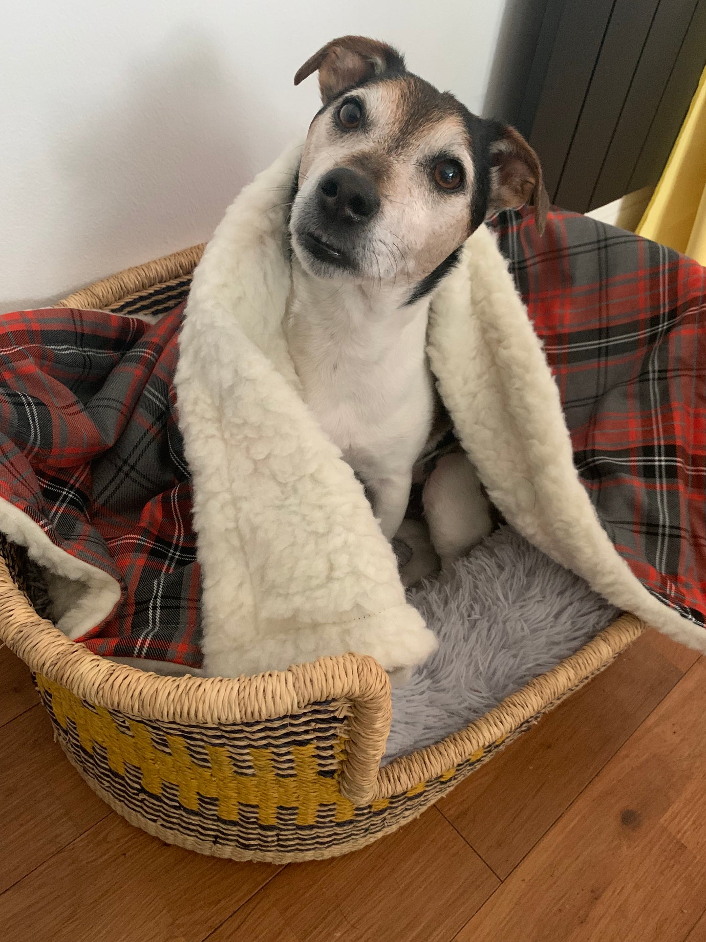 Turquoise and Grey Tartan Dog Blanket