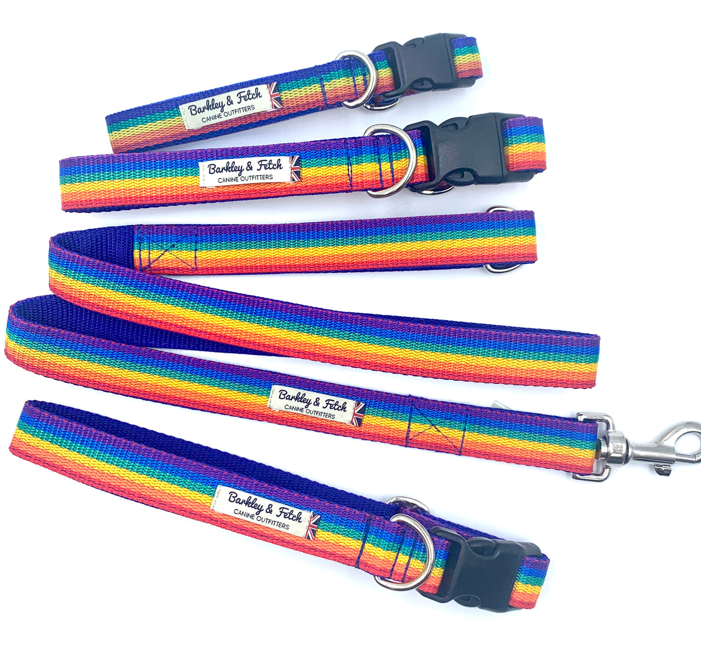 Rainbow Webbing Dog Lead