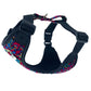 Dog harness with colorful paisley pattern on a white background