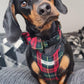 Dachshund wearing red and green dog harness, collar and bow tie, sat on a grey corduroy sofa with his head tilted