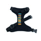 Black dog harness with colorful strap on a white background