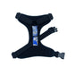 Black dog harness with a blue and white patterned patch on a white background