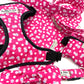 Hot Pink Floral Print Dog Bandana