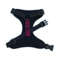 Black dog harness with a red buckle on a white background