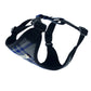 Black and blue plaid dog harness on a white background