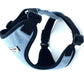 Dog harness with black straps on a white background