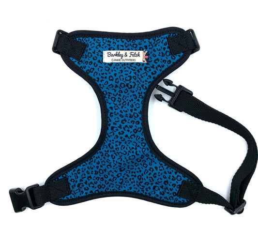 A teal leopard print dog harness with adjustable straps and a welded heavy duty d-ring.