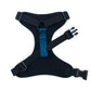Teal Leopard Print  Dog Harness