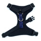 Black dog harness with a blue star-patterned patch on a white background
