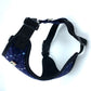 Dog harness with star pattern on a white background