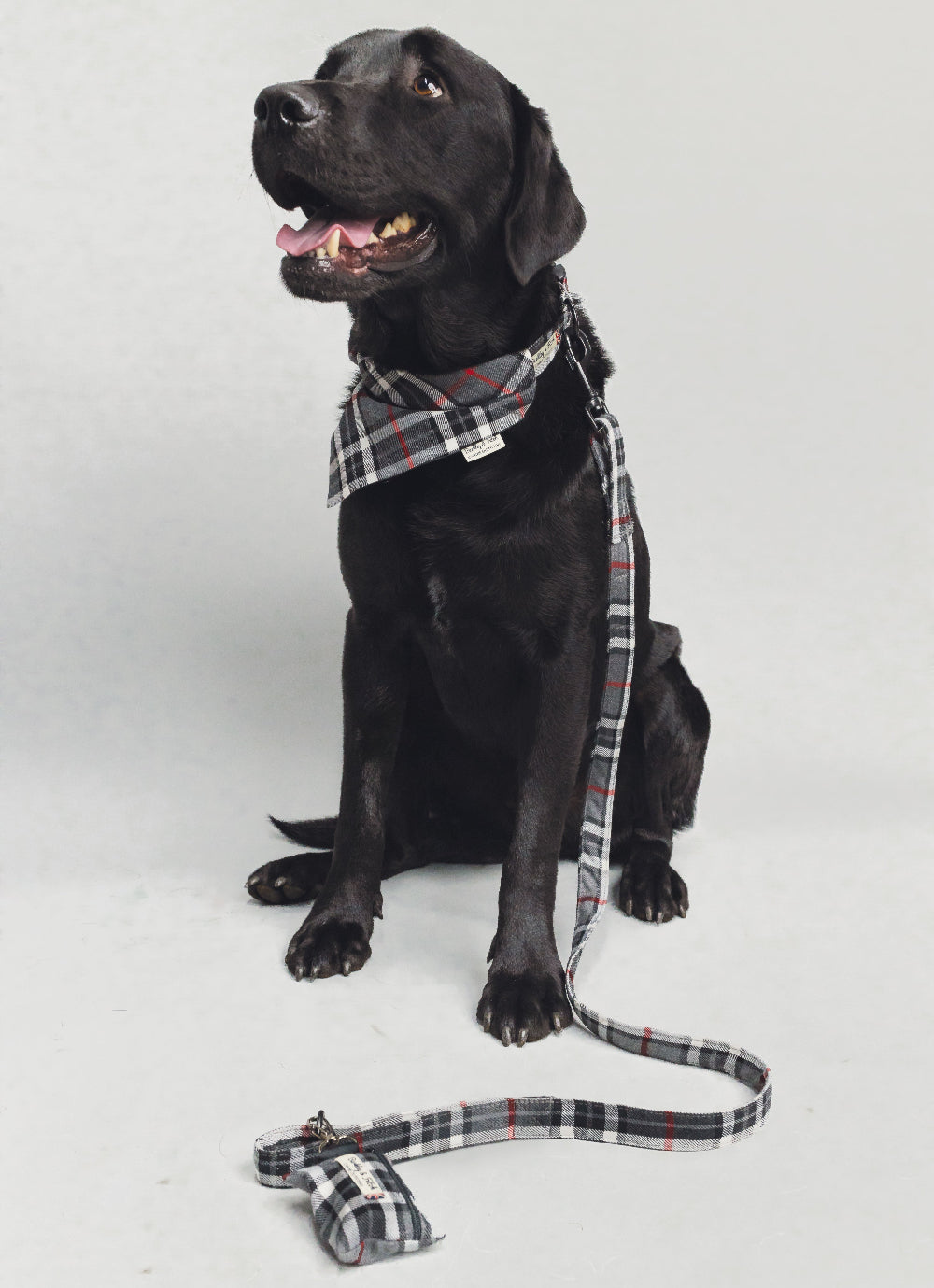 Grey/White Tartan Poo Bag Holder