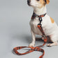 Orange and Grey Tartan Dog Lead