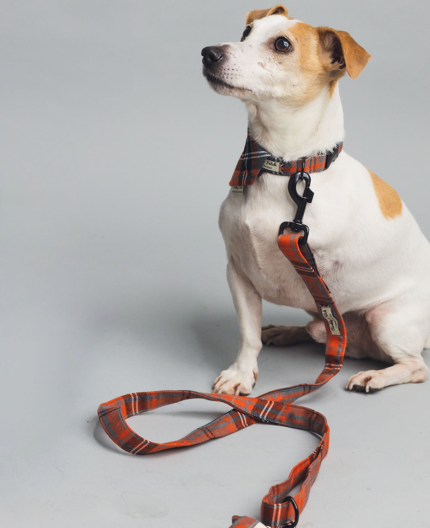 Orange and Grey Tartan Dog Lead