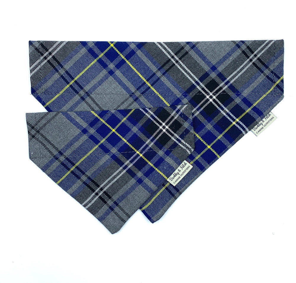 Two blue and gray plaid dog bandanas on a white background