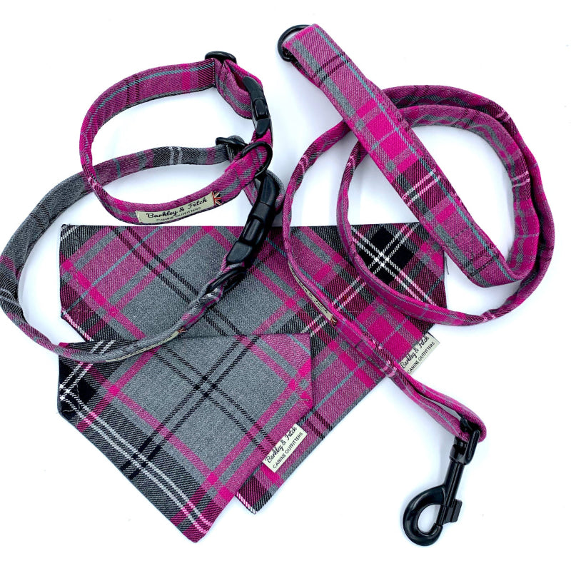 Plaid dog collar, harness, and leash set on a white background