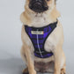 Purple Tartan Dog Collar