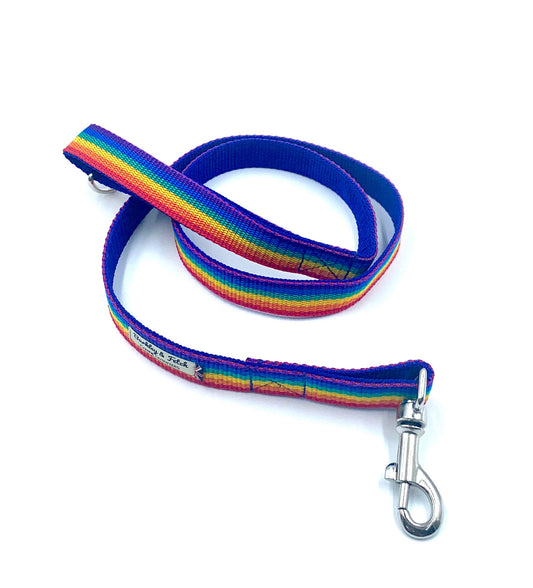 A rainbow webbing dog lead with a heavy duty metal trigger hook and a D-ring on the handle.