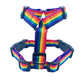 Rainbow striped dog harness on a white background handmade by Barkley and Fetch UK